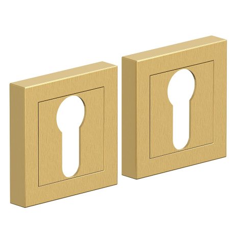 Изображение AS-1CL SGold