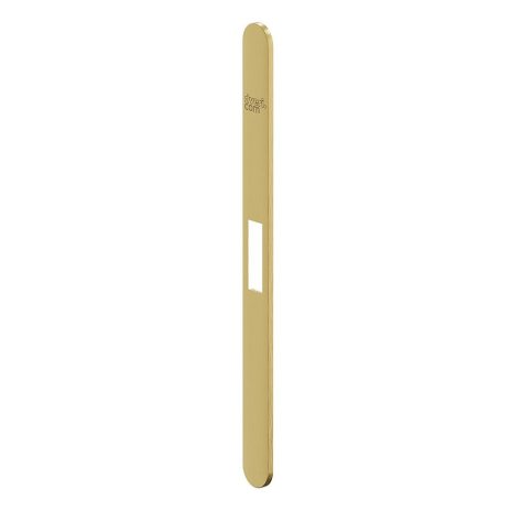 Изображение Лицевая планка FF-3 SGold
